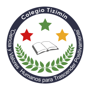 Plataforma educativa para apoyo acad&eacute;mico a la Preparatoria Colegio Teresa de &Aacute;vila de Tizim&iacute;n.